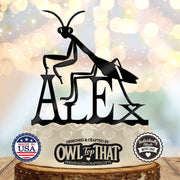 Black praying mantis birthday cake topper with long antennae and bent forelegs, perched across the personalized name Alex.